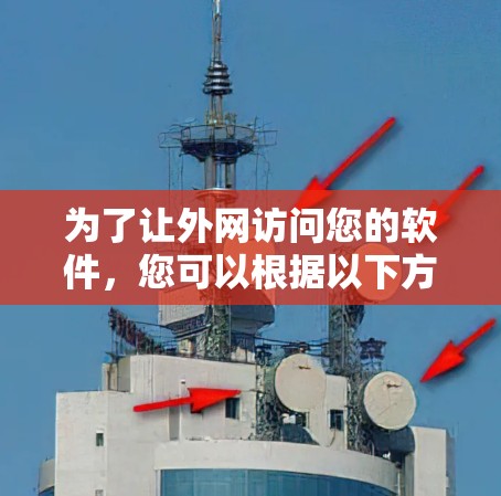 为了让外网访问您的软件，您可以根据以下方法选择最适合的方案