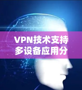 VPN技术支持多设备应用分析