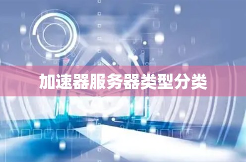 加速器服务器类型分类 加速器服务器类型分类