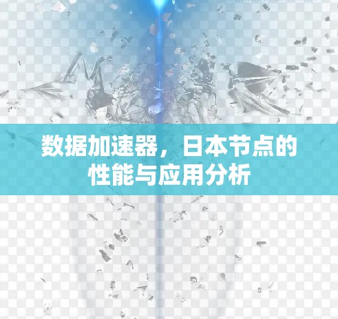 数据加速器，日本节点的性能与应用分析