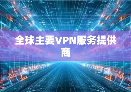 全球主要VPN服务提供商